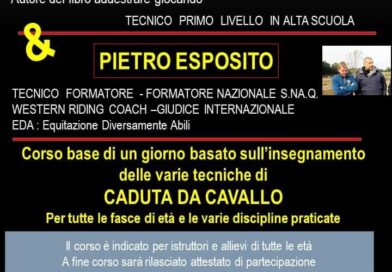 Stage Cadute da Cavallo